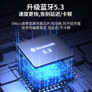 唯格（VEGGIEG）USB蓝牙适配器5.3 蓝牙接收器发射器免驱笔记本电脑台式机外置模块音频音响无线耳机V-UB503