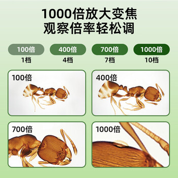 天文智能光学显微镜儿童便携式高清彩屏手持三合一科学实验文具男女孩套装 YZ3011