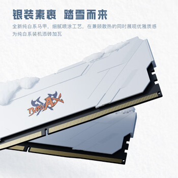 七彩虹32GB(16G×2)DDR4 3200 台式机内存条 马甲条 战斧系列·冰雪白 C18