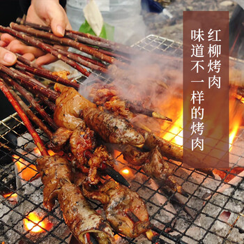 橙央(chengyang)淄博红柳签子 新疆红柳烤肉签子烧烤羊肉串红柳枝木