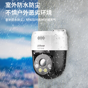 dahua大华500万POE供电室外摄像头防水夜视360旋转语音对讲全彩智能云台球机SD2A500-ADP-PV-i 不含电源