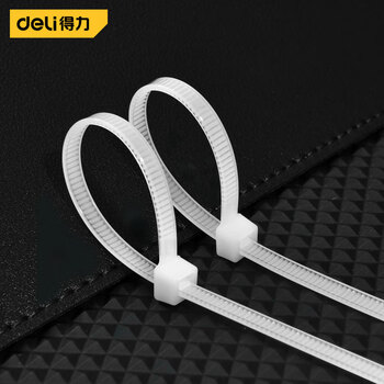 得力（deli）自锁式尼龙扎带阻燃理线带捆扎带束线扎线绑 白色100根/包