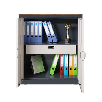 国保（Guub）保密柜V1指纹密码锁办公文件柜Z168-V1