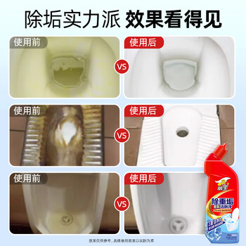 威王除重垢洁厕灵500g*2瓶 卫生间浴室厕所马桶清洁剂洁厕剂洁厕液