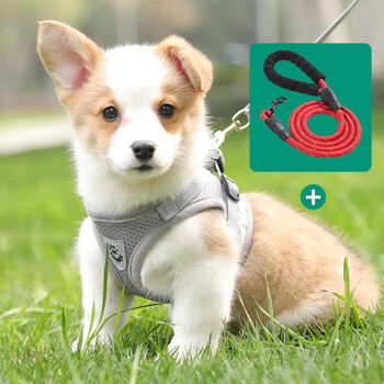 幼狗绳子牵引绳网红背心式狗狗牵引绳小型犬胸背带泰迪柯基小狗幼犬狗