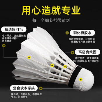 威克多（VICTOR）胜利羽毛球比赛10号12只装 娱乐款鸭毛球