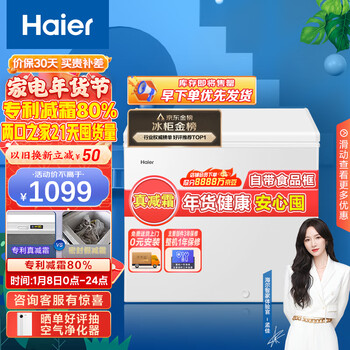 海尔（Haier）203升低霜商用家用冰柜 冷藏柜冷冻柜母乳囤货小冰柜家用小型冰箱冷柜BC/BD-203HTD 以旧换新
