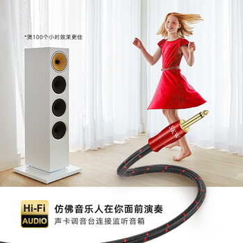 SKW 发烧级 6.5mm音频线 6.35大二芯公对公 麦克风吉他电子琴调音台音响连接线 HC08-1米(中国红) SKW 发烧级 6.5mm音频线 6.35大二芯公对公 麦克风吉他电子琴调音台音响连接线 HC08-1米(中国红)