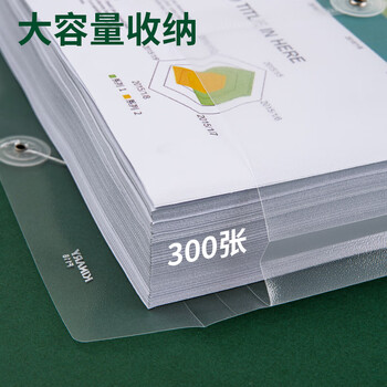 金得利12个装A4透明绳扣档案袋简历报告文件袋资料袋孕检袋财务收纳凭证袋子F118