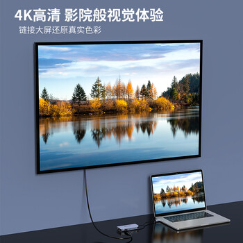 飞利浦（PHILIPS）type-c扩展坞 适用华为苹果电脑转换器macbook网线读卡器双视频转接头 usb-c转hdmi网口vga拓展坞