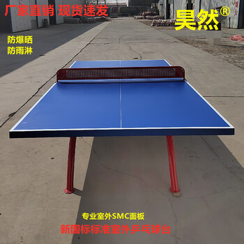 浩然体育新国标室外乒乓球台标准仿暴晒仿雨淋可移动SMC乒乓球桌抗老化 不可折叠 不带滚轮 乒乓球桌 新国标款