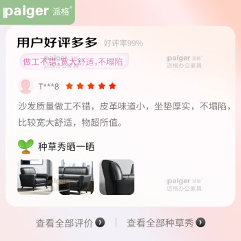 派格（Paiger）商务办公沙发单人沙发酒店会所洽谈沙发皮沙发