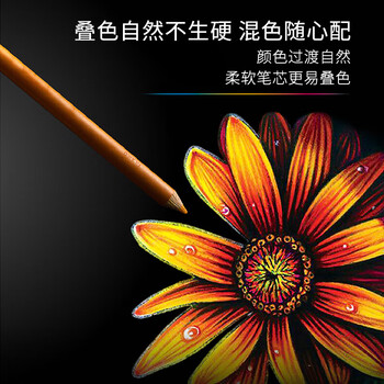 霹雳马（PRISMACOLOR）彩色铅笔彩铅笔36色油性初阶画笔套装学生绘画写生手绘美国三福专业