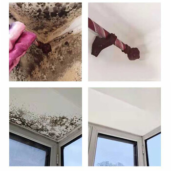 麦格丽墙体除霉剂2600ml白墙面霉斑墙纸壁纸清洁剂厨房去霉菌霉点霉味 麦格丽墙体除霉剂2600ml白墙面霉斑墙纸壁纸清洁剂厨房去霉菌霉点霉味