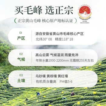 谷徽韵绿茶黄山毛峰特级二等200g2025明前新茶礼盒装安徽茶叶节日送礼品