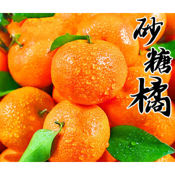 进口小柑橘价格报价行情- 京东