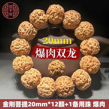 吉千年 大金刚菩提手串 五瓣梅花双龙纹单圈 正宗尼泊尔文玩 生日礼物 金刚菩提20mm 五瓣爆肉双龙