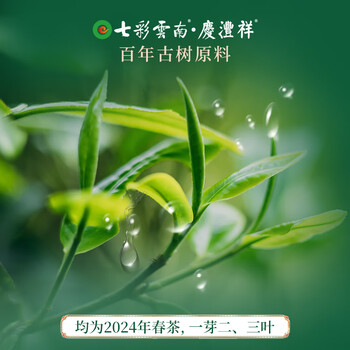 七彩雲南普洱茶 2023年布朗龙珠古树茶普洱生茶56g 特级茶叶自己喝