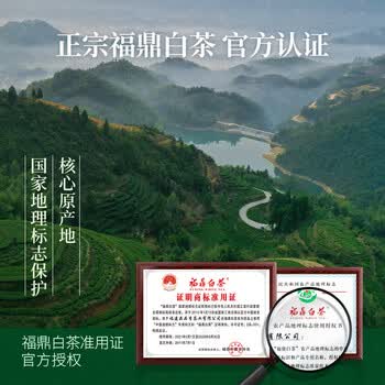 品品香白茶2024年新茶 福鼎白茶 白牡丹茶叶100g礼盒装 送礼