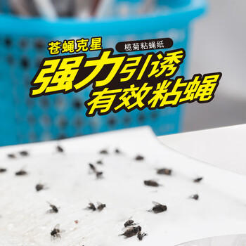 榄菊粘蝇纸30片装 粘苍蝇板粘蝇胶捕蝇灭蝇器 苍蝇贴 榄菊粘蝇纸30片装 粘苍蝇板粘蝇胶捕蝇灭蝇器 苍蝇贴