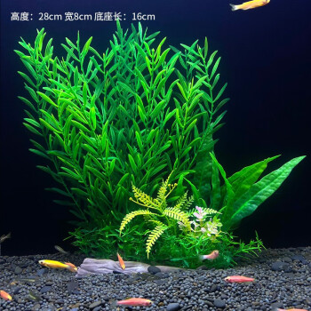 水草水族水草- 京东