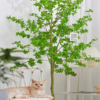 北欧风仿真绿植摆件日本吊钟植物马醉木轻奢家居室内客厅装饰假树电视