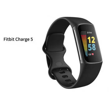 Fitbit 海外 discount 時刻