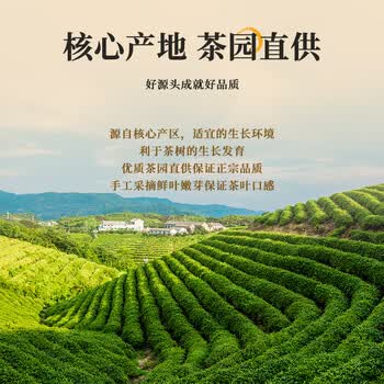 第一江南红茶武夷山金骏眉特级250g新茶蜜香茶叶礼盒罐装春茶端午节送礼品