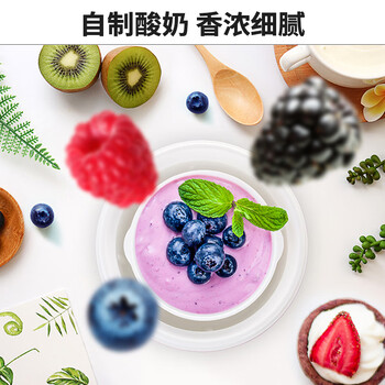 九阳(Joyoung)家用全自动小型酸奶机精准控温 恒温酸奶发酵机 SN-10J91 九阳(Joyoung)家用全自动小型酸奶机精准控温 恒温酸奶发酵机 SN-10J91