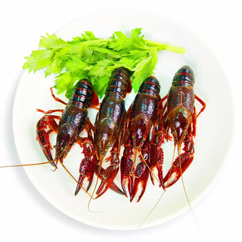 活鲜京鲜生江苏盱眙鲜活小龙虾500g单只35钱2份起售单份不发货