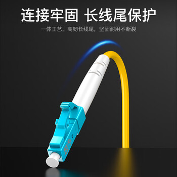 胜为电信级光纤跳线 LC-LC单模双芯3米 9/125低烟无卤光纤尾纤 SW-CS2LC-03D