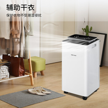 奥克斯（AUX）除湿机/抽湿机 除湿量10升/天 家用轻音吸湿器卧室客厅干燥机智能互联KDY-01WS