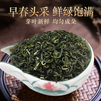 茗老汉广西柳州新茶上市三江绿茶袋装春茶浓香型绿茶明前高山日照新