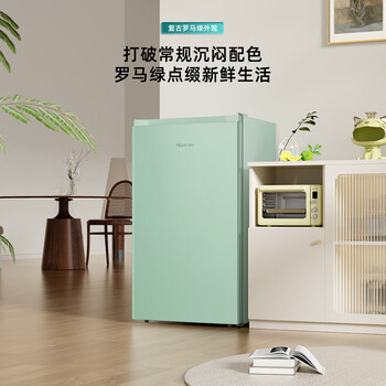 海信（Hisense）95升小型冰柜家用立式冰柜冷藏柜办公室冰吧厅吧 一级能效出租房酒店小型冰箱 复古罗马绿 BC-95BQ