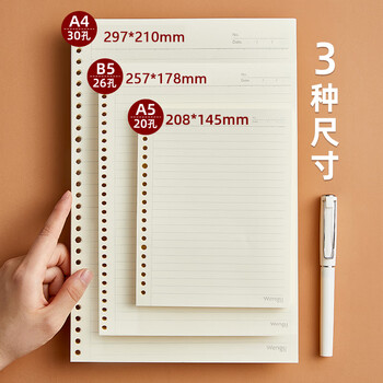 文谷(Wengu)a4活页纸替芯 活页本活页夹/网格活页笔记本/方格内芯30孔60张 A460-2