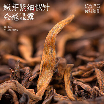 福茗源 茶叶普洱茶  云南勐海熟普散茶罐装100g金芽陈年普洱茶叶自己喝
