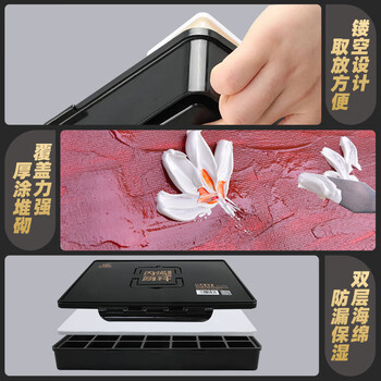 青竹画材青竹丙烯颜料套装80ml42色经典黑盒丙烯画颜料手绘墙绘画画套装美术绘画涂鸦防水颜料美育工具