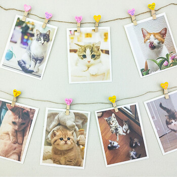 芬尚 JZ007 韩版心形卡通彩色木夹幼儿园教室照片挂墙装饰夹套装留言夹10个装(含麻绳约2米) 芬尚 JZ007 韩版心形卡通彩色木夹幼儿园教室照片挂墙装饰夹套装留言夹10个装(含麻绳约2米)