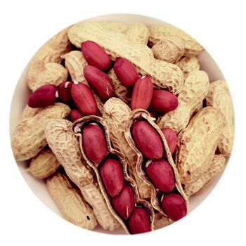 2021新货带壳四粒红生花生果红皮米仁炒货熟原香味2500g5斤小锅炒小锅