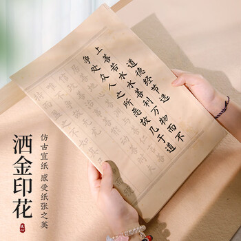 梅林笔庄道德经临摹字帖毛笔书法专用练字帖成人静心初学者入门练字道德仿古描红经兰亭序作品纸20张