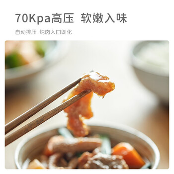 欧莱克YWB3001A电压力锅如何呢？质量评分好么