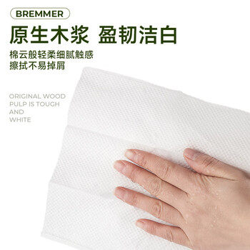 布雷默(BREMMER)抽纸1层160抽*10包L码商用擦手纸厨房酒店卫生间纸巾干手纸整箱 布雷默(BREMMER)抽纸1层160抽*10包L码商用擦手纸厨房酒店卫生间纸巾干手纸整箱