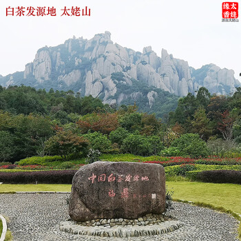 太姥缘香福鼎白茶太姥山 老白茶明前春茶 2018年白牡丹茶叶礼盒礼品100g 太姥缘香福鼎白茶太姥山 老白茶明前春茶 2018年白牡丹茶叶礼盒礼品100g