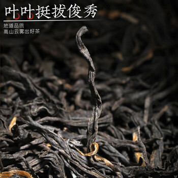 音朗 茶叶 小种红茶 2025新茶正宗高山茶原产浓香型茶叶礼盒送礼500g 音朗 茶叶 小种红茶 2025新茶正宗高山茶原产浓香型茶叶礼盒送礼500g