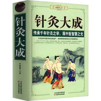 针灸大成- 京东
