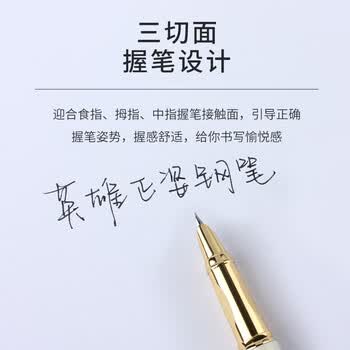 英雄（HERO） 钢笔 1302D铱金笔 学生正姿练字笔 办公签字笔墨水笔 蓝色 （暗尖EF尖）