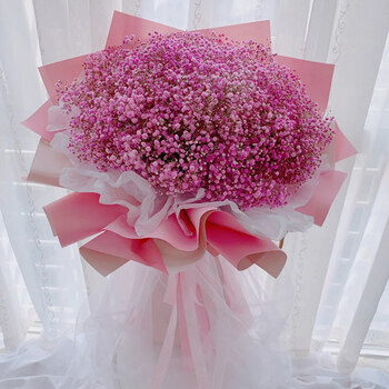 苏州玫瑰满天星混搭花束鲜花速递同城南京南通常州无锡生日配送店特惠