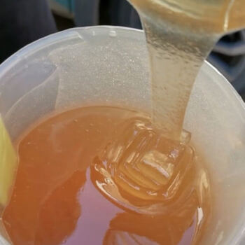 结晶土蜂蜜天然蜂蜜深山野生百花蜜槐花蜜枣花蜜农家百花蜜买14发5斤