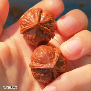 46大粗筋核桃 文玩クルミ胡桃