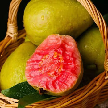 广西软心红心番石榴当季新鲜水果香软芭乐红软糯鸡屎果软糯红心品种5